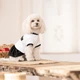 Pet Fashion Chanti сукня для собак XS-2 - изображение 4