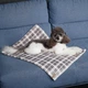 Pet Fashion Bliss 2 плед для собак 70,5х94 см - сірий - изображение 8