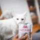 Вологий корм для котів Brit Care Cat pouch 85g (філе лосося в соусі) - зображення 3