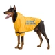 Дощовик для собак Noble Pet Moss Bravery XL - зображення 1