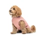 Pet Fashion Kale борцівка для собак М - изображение 2