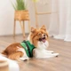 Pet Fashion Ross шлейка для собак XS - зображення 5