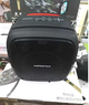 Колонка Bluetooth HOPESTAR PARTY ONE з двома мікрофонами - зображення 3