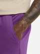 Шорты короткие мужские Jack Wolfskin Celebrate The Paw Shorts A65908-I0132 M Фиолетовые (4064886679237) - изображение 4
