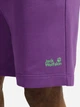 Шорты короткие мужские Jack Wolfskin Celebrate The Paw Shorts A65908-I0132 M Фиолетовые (4064886679237) - изображение 5