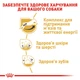 Сухой корм для взрослых собак породы Джек-Рассел-терьер ROYAL CANIN JACK RUSSEL ADULT 1.5 кг - изображение 3