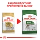 Сухой корм для взрослых собак породы Джек-Рассел-терьер ROYAL CANIN JACK RUSSEL ADULT 1.5 кг - изображение 5