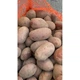 Насіннєва картопля Алюетт 1 кг, 80-90 днів 2 репродукція - изображение 4
