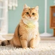 Трекер HOCO E91D Tiger smart anti-lost device(cat collar type) Black - изображение 7