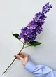 Сирень латексная синяя 71 см, ветка сирени декоративная, искусственные цветы - изображение 2
