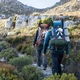Рюкзак туристический Naturehike NH70B070-B, 70 л + 5 л, голубой - изображение 3