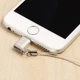 Перехідник Remax Visual RA-USB2 microUSB(F) to Lightning(M), gold - зображення 2