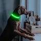 Світлодіодний нашийник для собак Illumifun LED USB (Розмір M) Green - зображення 4