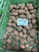 Насіннєва картопля Ред Соня 1 кг, 50-70 днів 2 репродукція - изображение 4