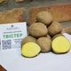 Насіннєва картопля Твістер 1 кг, 60-70 днів 2 репродукція - изображение 5