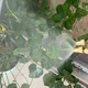 Садовый опрыскиватель с двойной насадкой 38 см для полива и удобрений синий пластиковый ручной распылитель - изображение 7