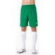Шорты Joma Nobel 100053.450 зелений XL (9995138944092) - изображение 3