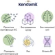 Дитяча каша Kendamil Безмолочна Organic Рисова з 4-6 місяців 120 г (92000154) - зображення 5
