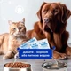 Вітаміни з пробіотиками для собак та котів ModeS Kombiflor Probiotic, 15 шт х 2 гр - зображення 6