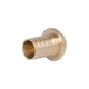 Заглушка натяжная Icma №1042 d25х3,5 851042GX05 - изображение 1