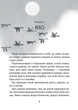Комплект із 3-х книг. Дикий Робот - П. Браун (4820000130981) - изображение 4
