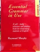 Essential Grammar in Use - изображение 1