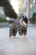 Комбинезон для собак WAUDOG Clothes, рисунок "Рик и Морти 2", размер L50 (5451-0281) - изображение 5
