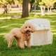Рюкзак-переноска WAUDOG Relax Eco 42х34х27 см для кошек и мелких пород собак до 8 кг - изображение 4