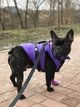 Поводок для собак WAUDOG Waterproof, черный, M (20 мм, 122 см) (27271) - изображение 18