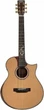 Трансакустическая гитара Fiesta Grand II TransAcoustic - изображение 1