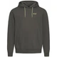 Худі CELEBRATE THE PAW HOODY M Jack Wolfskin A65904_T0404 46-48 Коричневий (4064886664622) - изображение 7