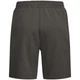 Шорти CELEBRATE THE PAW SHORTS M Jack Wolfskin A65908_F0302 54 Коричневий (4064886679688) - изображение 8