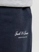 Шорты хлопковые короткие мужские Jack & Jones 12288638 S Sky Captain (5715830448421) - изображение 6