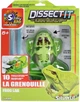 Експериментальний набір Joker Slimy Lab Dissect It Frog Lab 38070 (7611212380700) - зображення 1