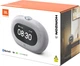 Портативна акустика JBL Horizon 3 Grey (JBLHORIZON3GRY) - изображение 9