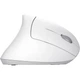 Мышь Trust Verto Ergonomic Wireless White (25132) [127479] - изображение 2