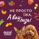 Упаковка додаткового консервованого корму для дорослих котів Delickcious Пластівці з качкою та лісовими ягодами у вершковому соусі 80 г х 12 шт (D6251502) - зображення 4