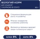 Упаковка влажного корма для котят Club 4 Paws с курицей в соусе 80 г х 24 шт (4820215360685) (B5630601) - изображение 3