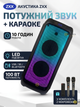 Портативная акустическая колонка ZXX 100Вт Bluetooth караоке с 2 микрофонами FM USB SD аккумуляторная - изображение 1