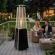 Grzejnik gazowy ModernHome by Multistore MultiGarden BFH-C-PC - obraz 7