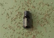 Эфирное масло фенхеля для пищеварения, детокса и ароматерапии doTERRA Fennel 15 мл - изображение 2