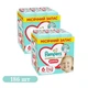 Детские подгузники-трусики 186 шт Pampers Premium Care Pants Giant размер 6 (13-19 кг) Детские подгузники памперс пантс с эластичным поясом и защитой до 12 часов Памперсы премиум трусиками для детей с чувствительной кожей - изображение 1