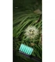 Электрическая зубная щетка Enchen Electric Toothbrush Aurora T2 Black - изображение 3