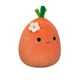 М'яка іграшка Squishmallows - Морквинка Кароліна (13 см) (6900007372954) - изображение 3