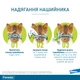 От блох и клещей Elanco Foresto Инновационный ошейник для долговременной защиты Cобак и кошек от блох, власоедов, иксодовых клещей 38 см 38 см (46371) - изображение 9