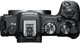 Беззеркальный CANON EOS R8 + 24-105mm f/4-7.1 IS STM (5803C093) - изображение 4