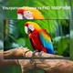 Монітор портативний 15.6" JEEJIA P4 Full HD IPS 60 Гц - зображення 4