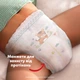 Подгузники-трусики Pampers Active Baby Pants Размер 5 (11-17 кг) 164 шт (8006530315722) - изображение 12