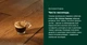 Капсулы CoffeeB Illy Intenso Espresso (шарики) - изображение 5