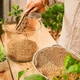 Субстрат Compo BIO GRANUPLANT для кімнатних рослин 3 л 8817 - изображение 4